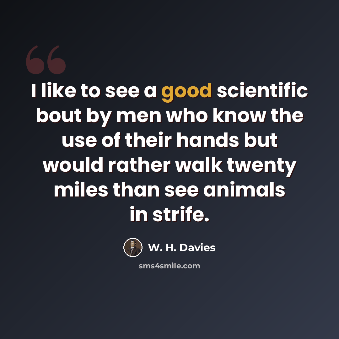 “I like to see a good scientific bout by men who know the use of their hands but would rather walk twenty miles than see animals in strife.” quote by W. H. Davies