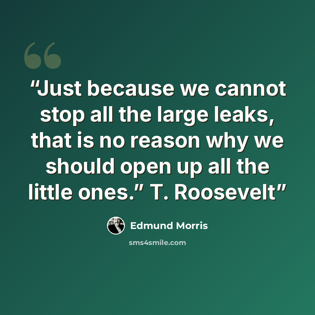“Just because we cannot stop all the large leaks, that is no reason why we should open up all the little ones.” T. Roosevelt” quote by Edmund Morris
