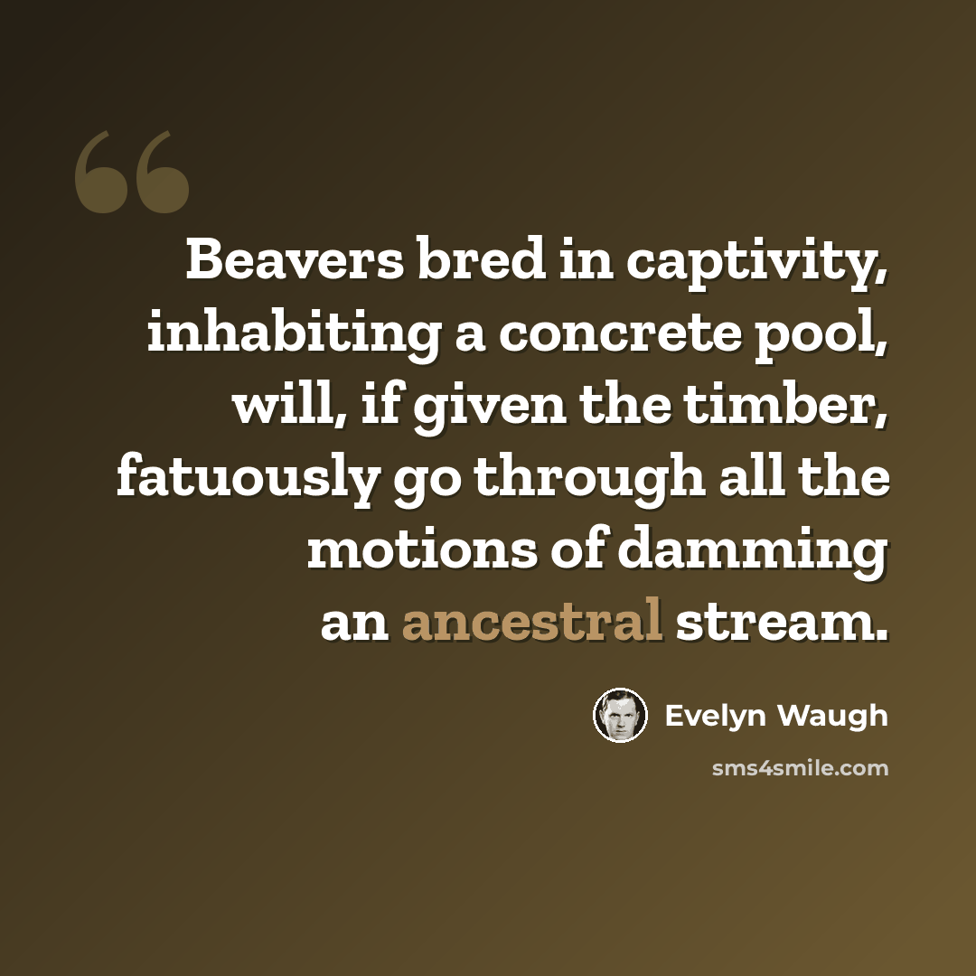 “Beavers bred in captivity, inhabiting a concrete pool, will, if given the timber, fatuously go through all the motions of damming an ancestral stream.” quote by Evelyn Waugh