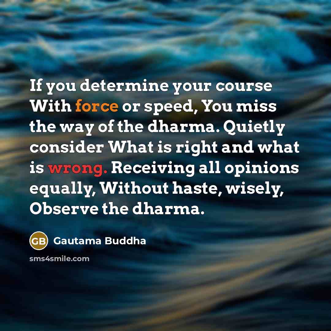 “If you determine your course With force or speed, You miss the way of the dharma. Quietly consider What is right and what is wrong. Receiving all opinions equally, Without haste, wisely, Observe the dharma.” quote by Gautama Buddha