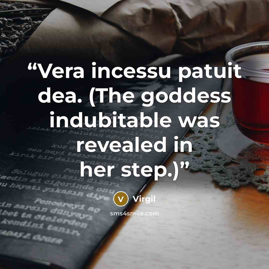 “Vera incessu patuit dea. (The goddess indubitable was revealed in her step.)” quote by Virgil