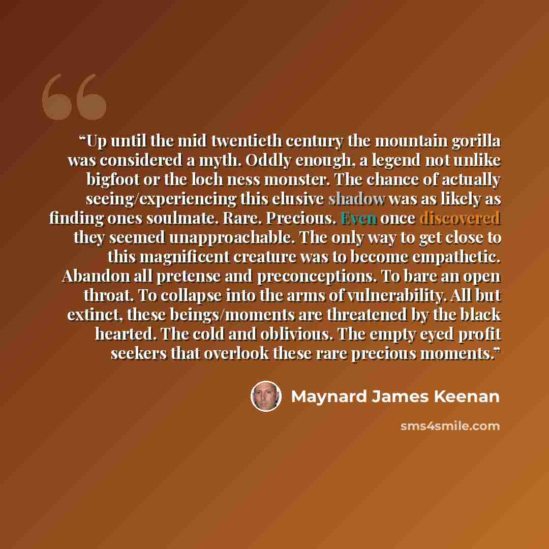 “Up until the mid twentieth century the mountain gorilla was considered a myth. Oddly enough, a legend not unlike bigfoot or the loch ness monster. The chance of actually seeing/experiencing this elusive shadow was as likely as finding ones soulmate. Rare. Precious. Even once discovered they seemed…” quote by Maynard James Keenan