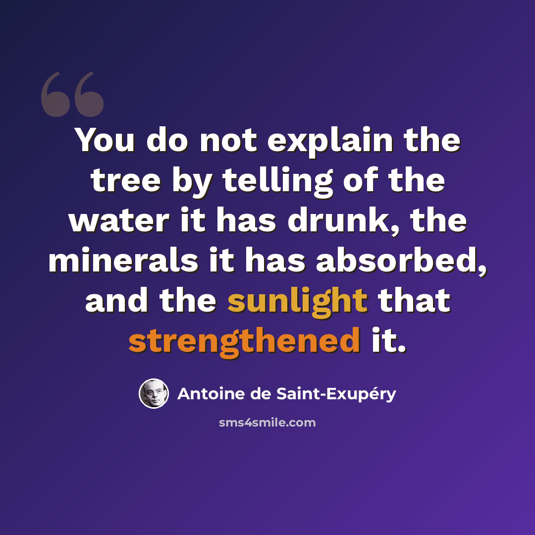 “You do not explain the tree by telling of the water it has drunk, the minerals it has absorbed, and the sunlight that strengthened it.” quote by Antoine de Saint-Exupery