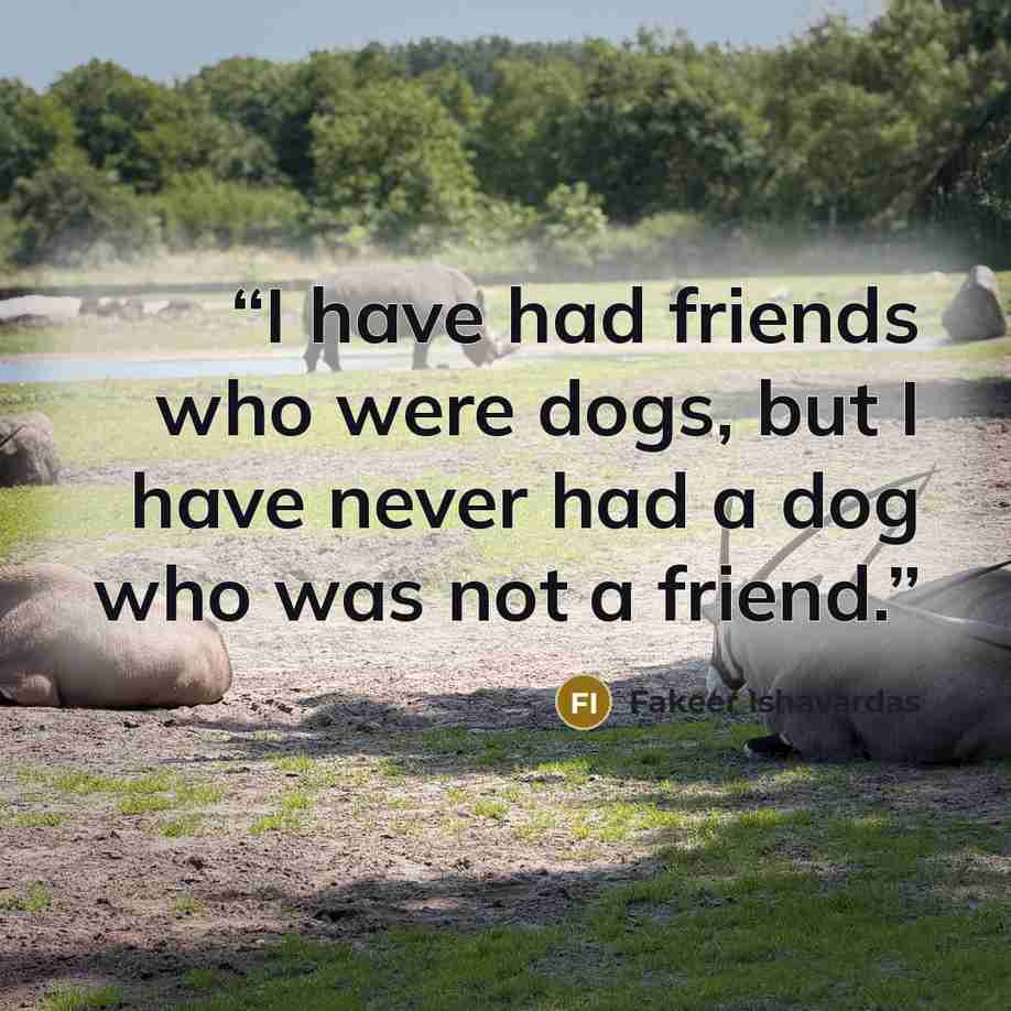 “I have had friends who were dogs, but I have never had a dog who was not a friend.” quote by Fakeer Ishavardas