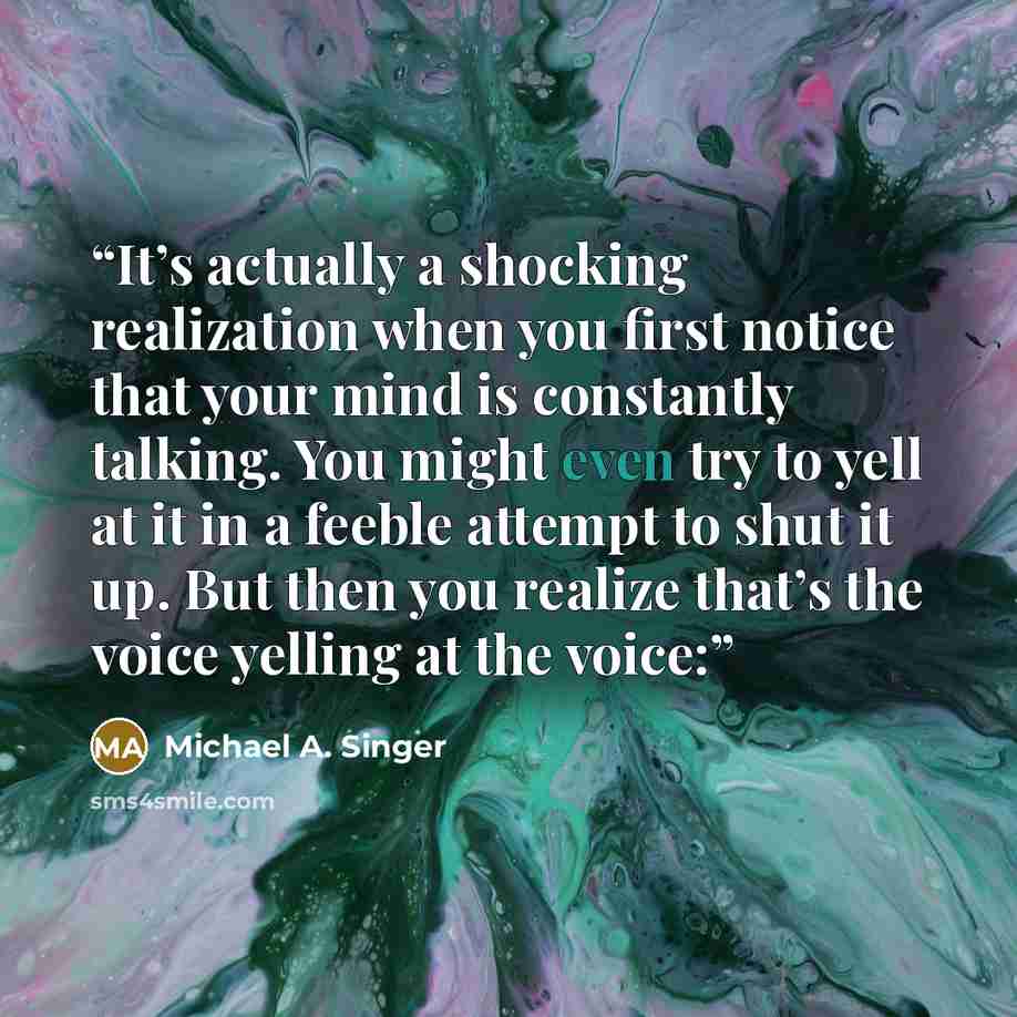 “It’s actually a shocking realization when you first notice that your mind is constantly talking. You might even try to yell at it in a feeble attempt to shut it up. But then you realize that’s the voice yelling at the voice:” quote by Michael A. Singer