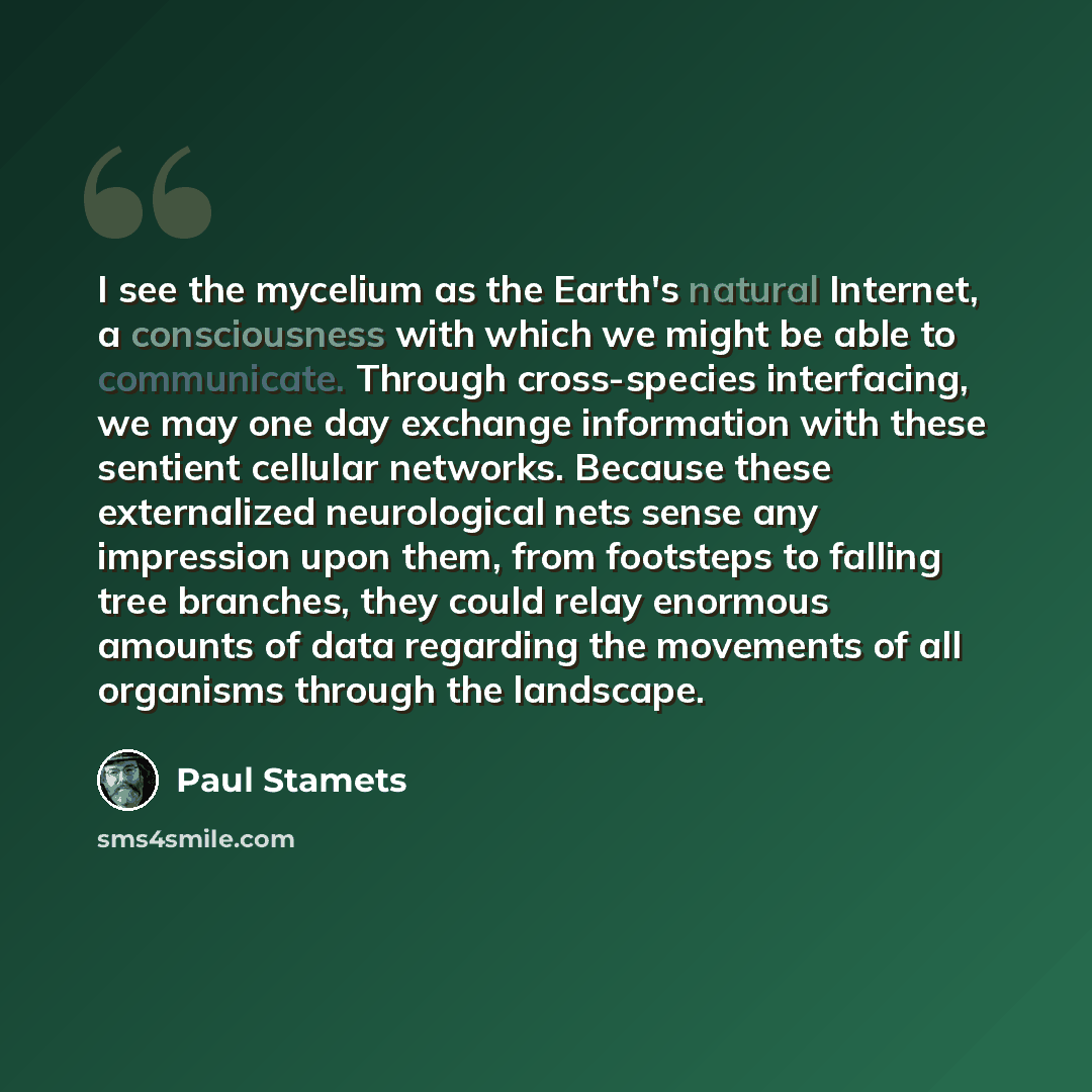 “I see the mycelium as the Earth's natural Internet, a consciousness with which we might be able to communicate. Through cross-species interfacing, we may one day exchange information with these sentient cellular networks. Because these externalized neurological nets sense any impression upon them…” quote by Paul Stamets