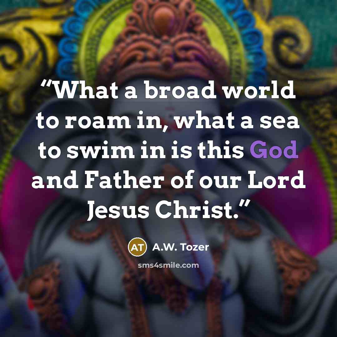 “What a broad world to roam in, what a sea to swim in is this God and Father of our Lord Jesus Christ.” quote by A.W. Tozer