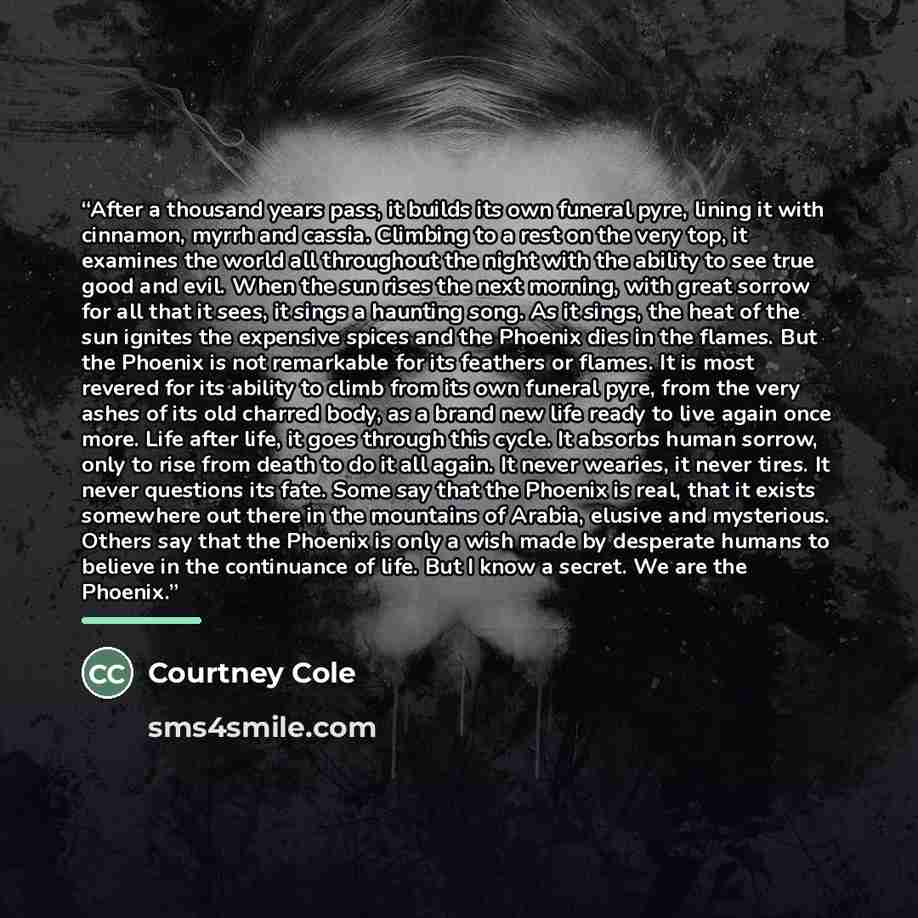 “After a thousand years pass, it builds its own funeral pyre, lining it with cinnamon, myrrh and cassia. Climbing to a rest on the very top, it examines the world all throughout the night with the ability to see true good and evil. When the sun rises the next morning, with great sorrow for all that…” quote by Courtney Cole