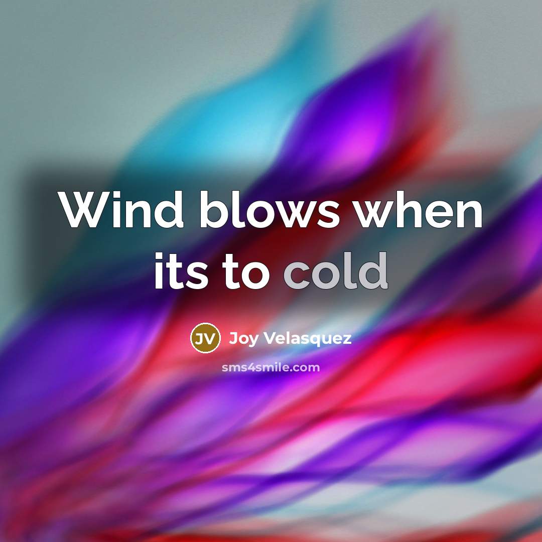 “Wind blows when its to cold” quote by Joy Velasquez