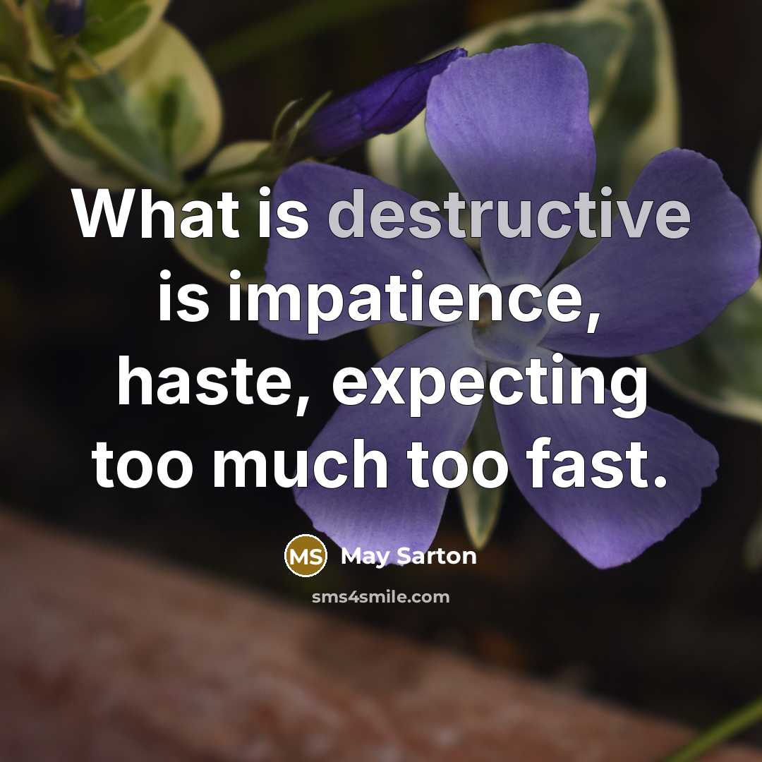“What is destructive is impatience, haste, expecting too much too fast.” quote by May Sarton