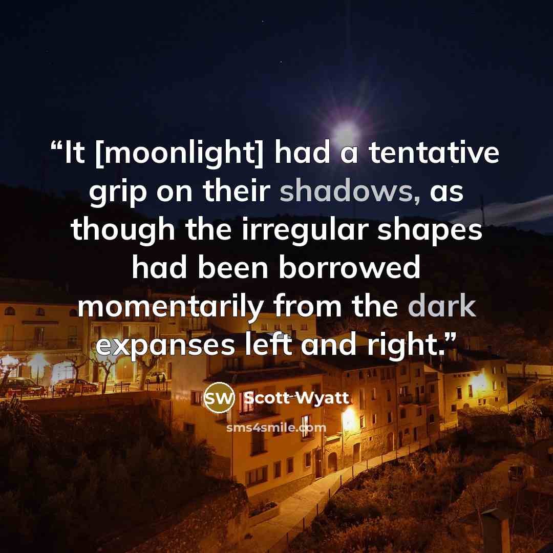 “It [moonlight] had a tentative grip on their shadows, as though the irregular shapes had been borrowed momentarily from the dark expanses left and right.” quote by Scott Wyatt