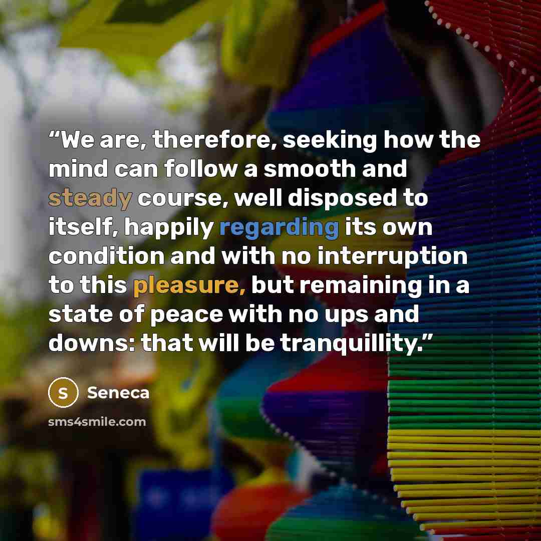 “We are, therefore, seeking how the mind can follow a smooth and steady course, well disposed to itself, happily regarding its own condition and with no interruption to this pleasure, but remaining in a state of peace with no ups and downs: that will be tranquillity.” quote by Seneca
