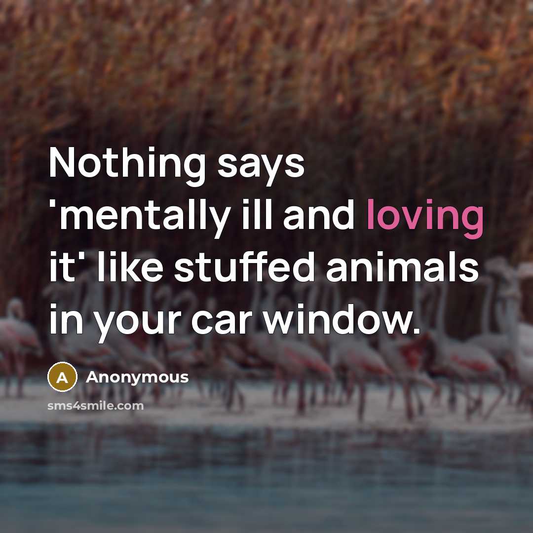 “Nothing says 'mentally ill and loving it' like stuffed animals in your car window.” quote by Anonymous
