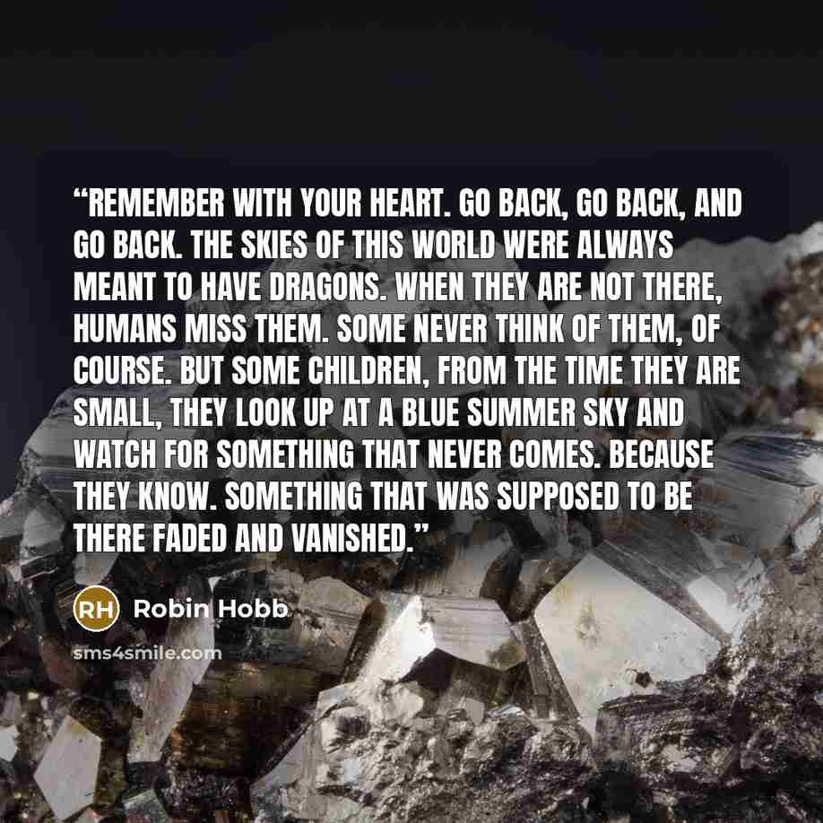 “Remember with your heart. Go back, go back, and go back. The skies of this world were always meant to have dragons. When they are not there, humans miss them. Some never think of them, of course. But some children, from the time they are small, they look up at a blue summer sky and watch for…” quote by Robin Hobb