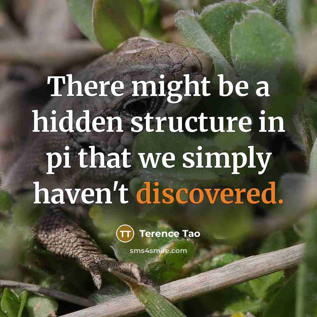 “There might be a hidden structure in pi that we simply haven't discovered.” quote by Terence Tao