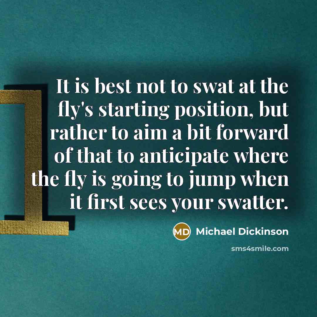 “It is best not to swat at the fly's starting position, but rather to aim a bit forward of that to anticipate where the fly is going to jump when it first sees your swatter.” quote by Michael Dickinson