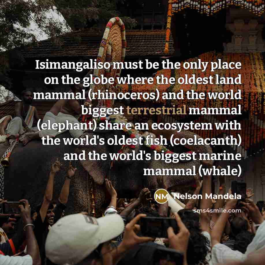 “Isimangaliso must be the only place on the globe where the oldest land mammal (rhinoceros) and the world biggest terrestrial mammal (elephant) share an ecosystem with the world's oldest fish (coelacanth) and the world's biggest marine mammal (whale)” quote by Nelson Mandela