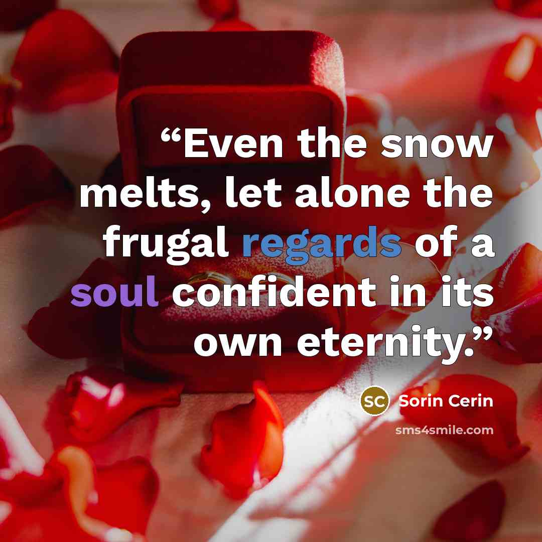 “Even the snow melts, let alone the frugal regards of a soul confident in its own eternity.” quote by Sorin Cerin