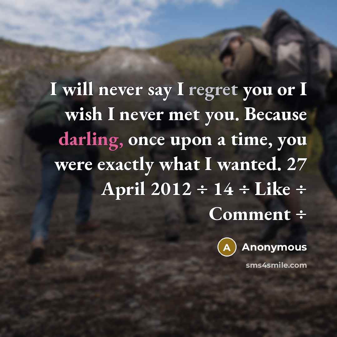 “I will never say I regret you or I wish I never met you. Because darling, once upon a time, you were exactly what I wanted. 27 April 2012 ÷ 14 ÷ Like ÷ Comment ÷” quote by Anonymous