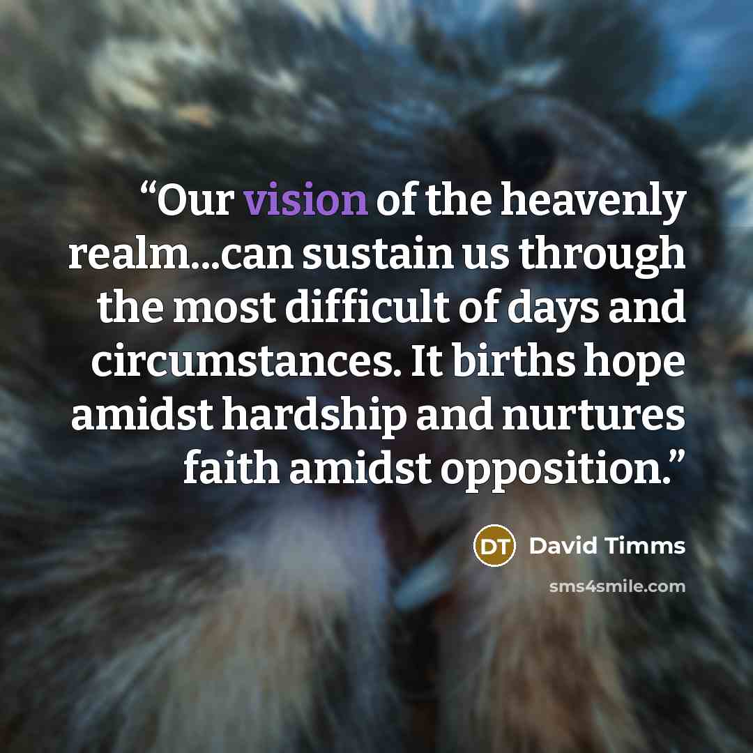 “Our vision of the heavenly realm...can sustain us through the most difficult of days and circumstances. It births hope amidst hardship and nurtures faith amidst opposition.” quote by David Timms