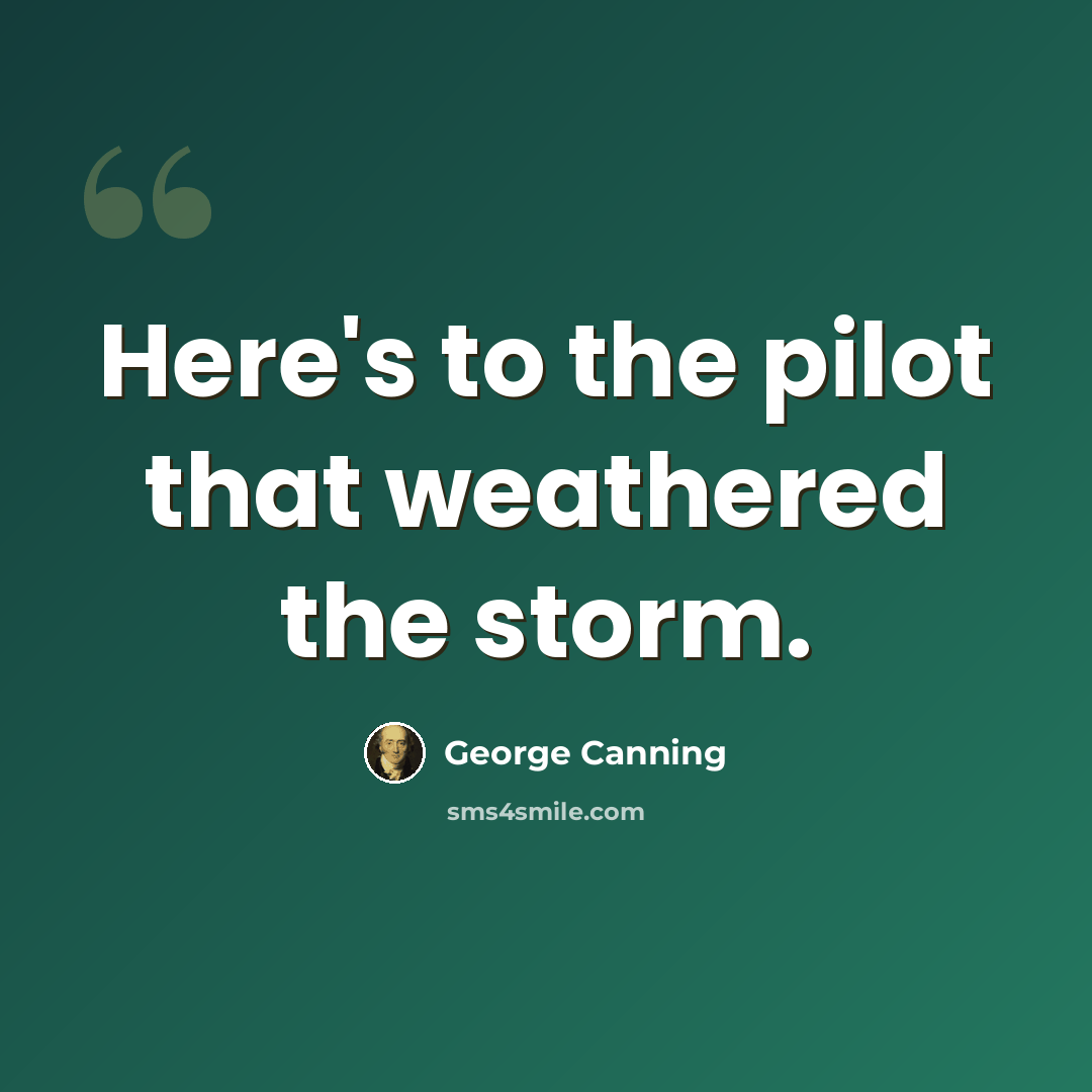 “Here's to the pilot that weathered the storm.” quote by George Canning