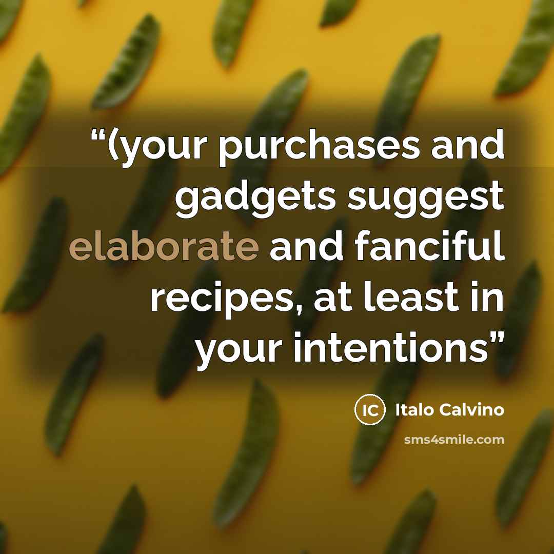 “(your purchases and gadgets suggest elaborate and fanciful recipes, at least in your intentions” quote by Italo Calvino