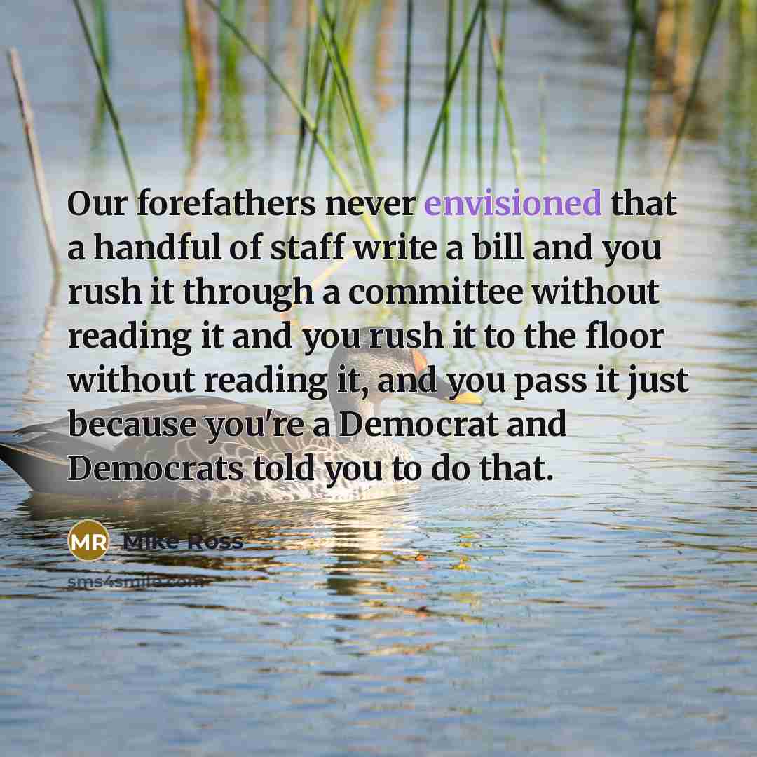 “Our forefathers never envisioned that a handful of staff write a bill and you rush it through a committee without reading it and you rush it to the floor without reading it, and you pass it just because you're a Democrat and Democrats told you to do that.” quote by Mike Ross