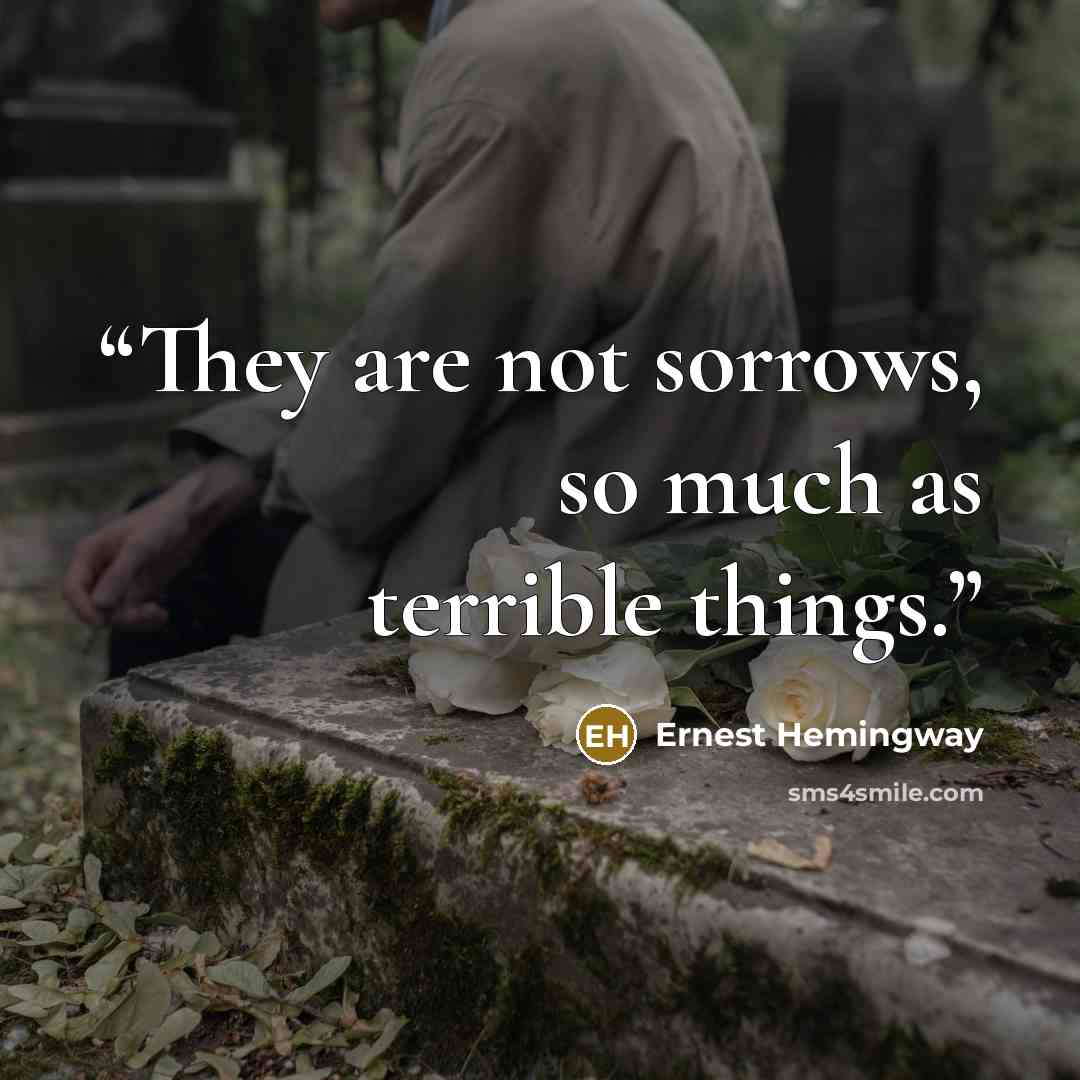 “They are not sorrows, so much as terrible things.” quote by Ernest Hemingway
