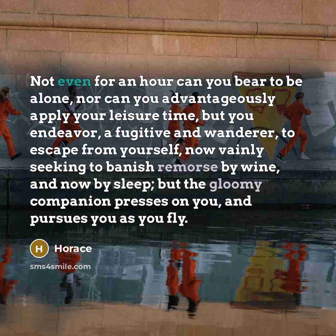 “Not even for an hour can you bear to be alone, nor can you advantageously apply your leisure time, but you endeavor, a fugitive and wanderer, to escape from yourself, now vainly seeking to banish remorse by wine, and now by sleep; but the gloomy companion presses on you, and pursues you as you fly.” quote by Horace