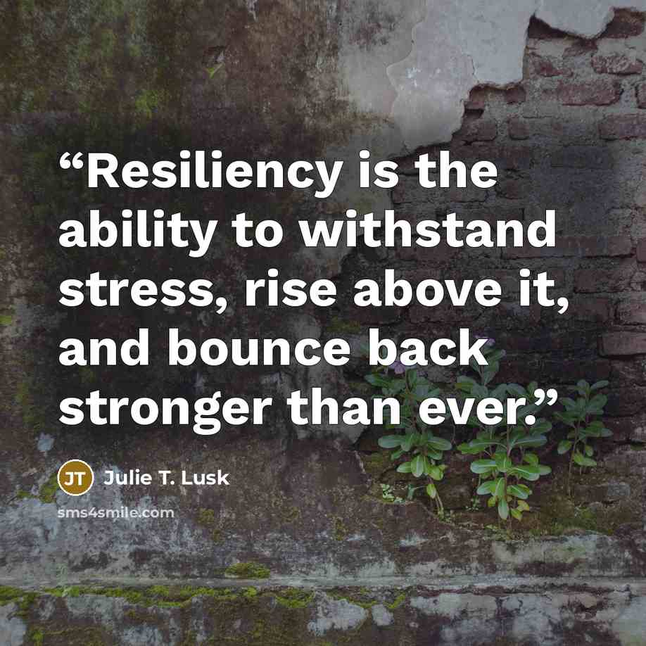 “Resiliency is the ability to withstand stress, rise above it, and bounce back stronger than ever.” quote by Julie T. Lusk
