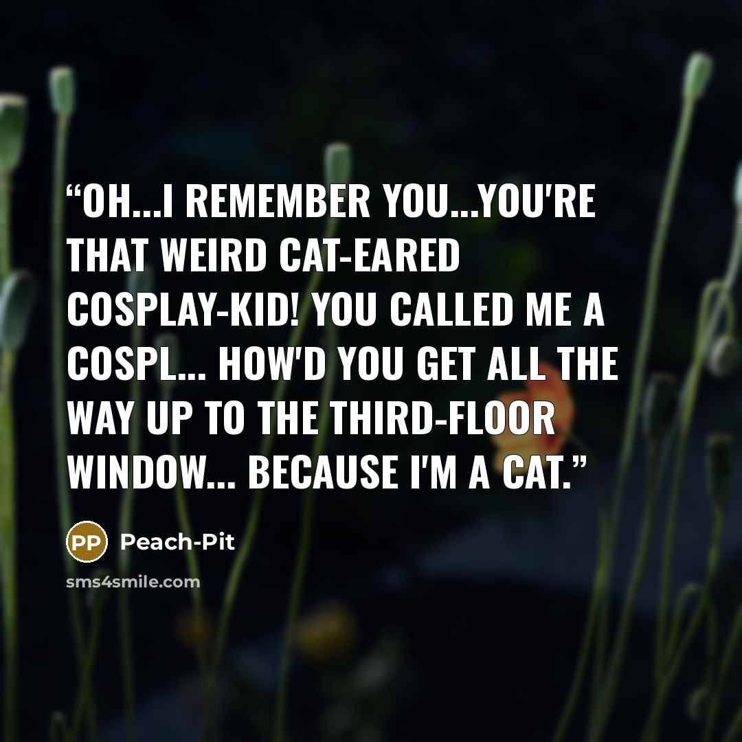 “Oh...I remember you...You're that weird cat-eared cosplay-kid! You called me a cospl... How'd you get all the way up to the third-floor window... Because I'm a cat.” quote by Peach-Pit