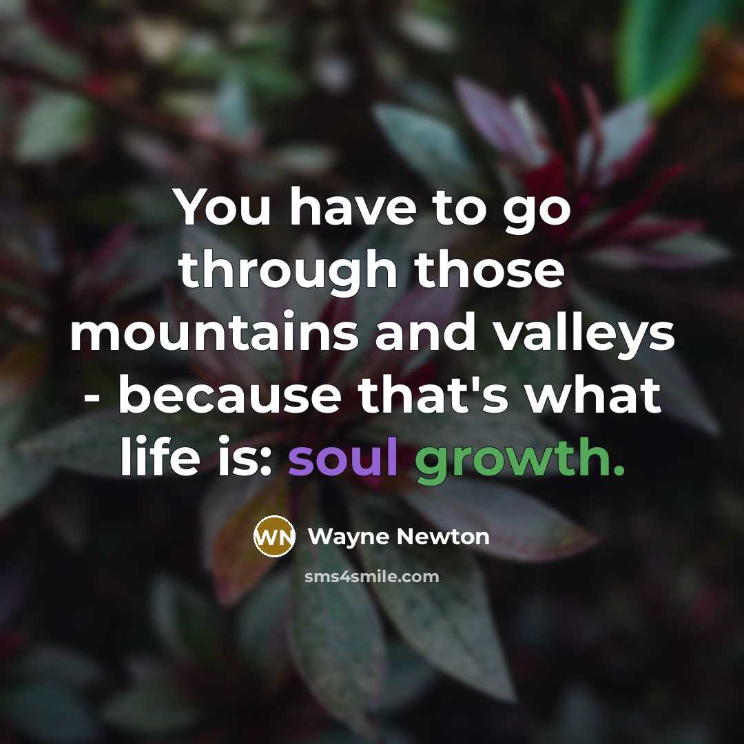 “You have to go through those mountains and valleys - because that's what life is: soul growth.” quote by Wayne Newton