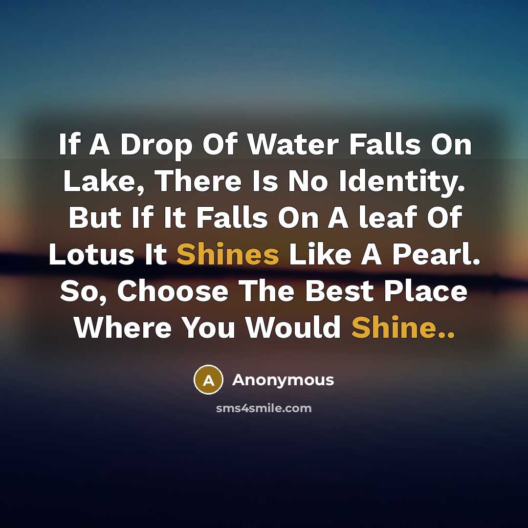 “If A Drop Of Water Falls On Lake, There Is No Identity. But If It Falls On A leaf Of Lotus It Shines Like A Pearl. So, Choose The Best Place Where You Would Shine..” quote by Anonymous