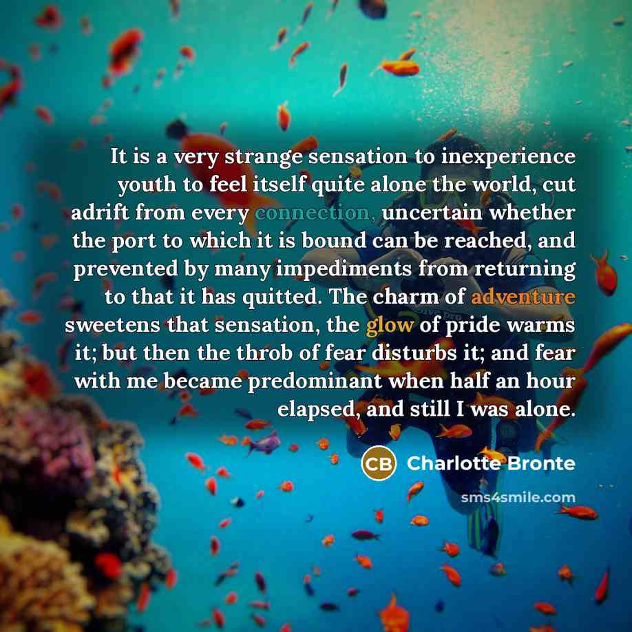 “It is a very strange sensation to inexperience youth to feel itself quite alone the world, cut adrift from every connection, uncertain whether the port to which it is bound can be reached, and prevented by many impediments from returning to that it has quitted. The charm of adventure sweetens that…” quote by Charlotte Bronte