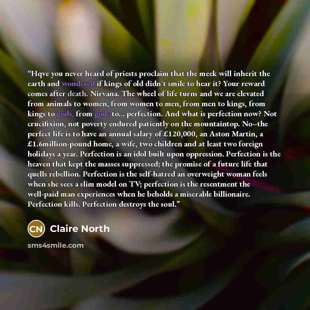 “Hqve you never heard of priests proclaim that the meek will inherit the earth and wondered if kings of old didn't smile to hear it? Your reward comes after death. Nirvana. The wheel of life turns and we are elevated from animals to women, from women to men, from men to kings, from kings to gods…” quote by Claire North