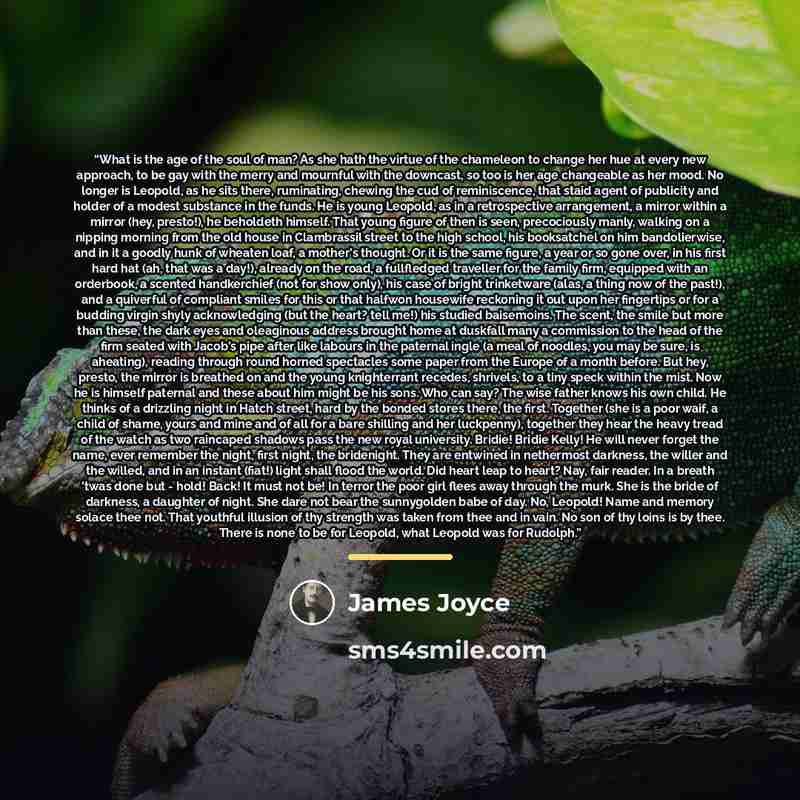 “What is the age of the soul of man? As she hath the virtue of the chameleon to change her hue at every new approach, to be gay with the merry and mournful with the downcast, so too is her age changeable as her mood. No longer is Leopold, as he sits there, ruminating, chewing the cud of…” quote by James Joyce