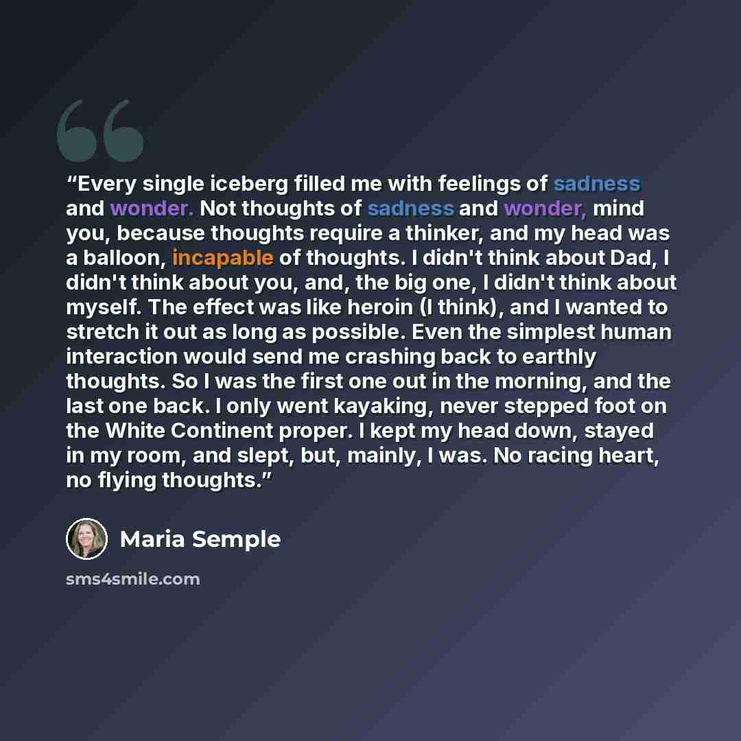 “Every single iceberg filled me with feelings of sadness and wonder. Not thoughts of sadness and wonder, mind you, because thoughts require a thinker, and my head was a balloon, incapable of thoughts. I didn't think about Dad, I didn't think about you, and, the big one, I didn't think about myself…” quote by Maria Semple