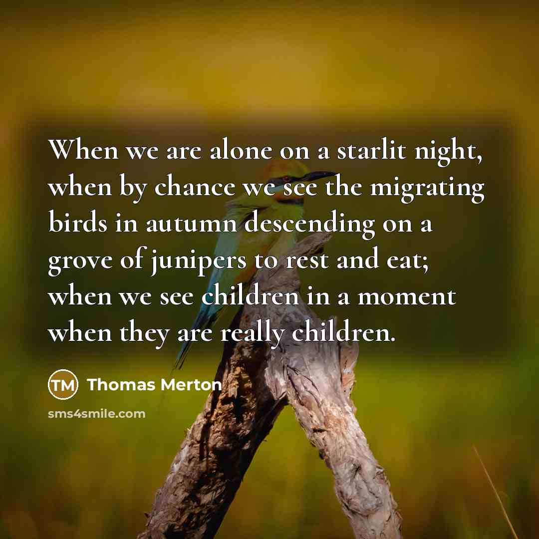 “When we are alone on a starlit night, when by chance we see the migrating birds in autumn descending on a grove of junipers to rest and eat; when we see children in a moment when they are really children.” quote by Thomas Merton