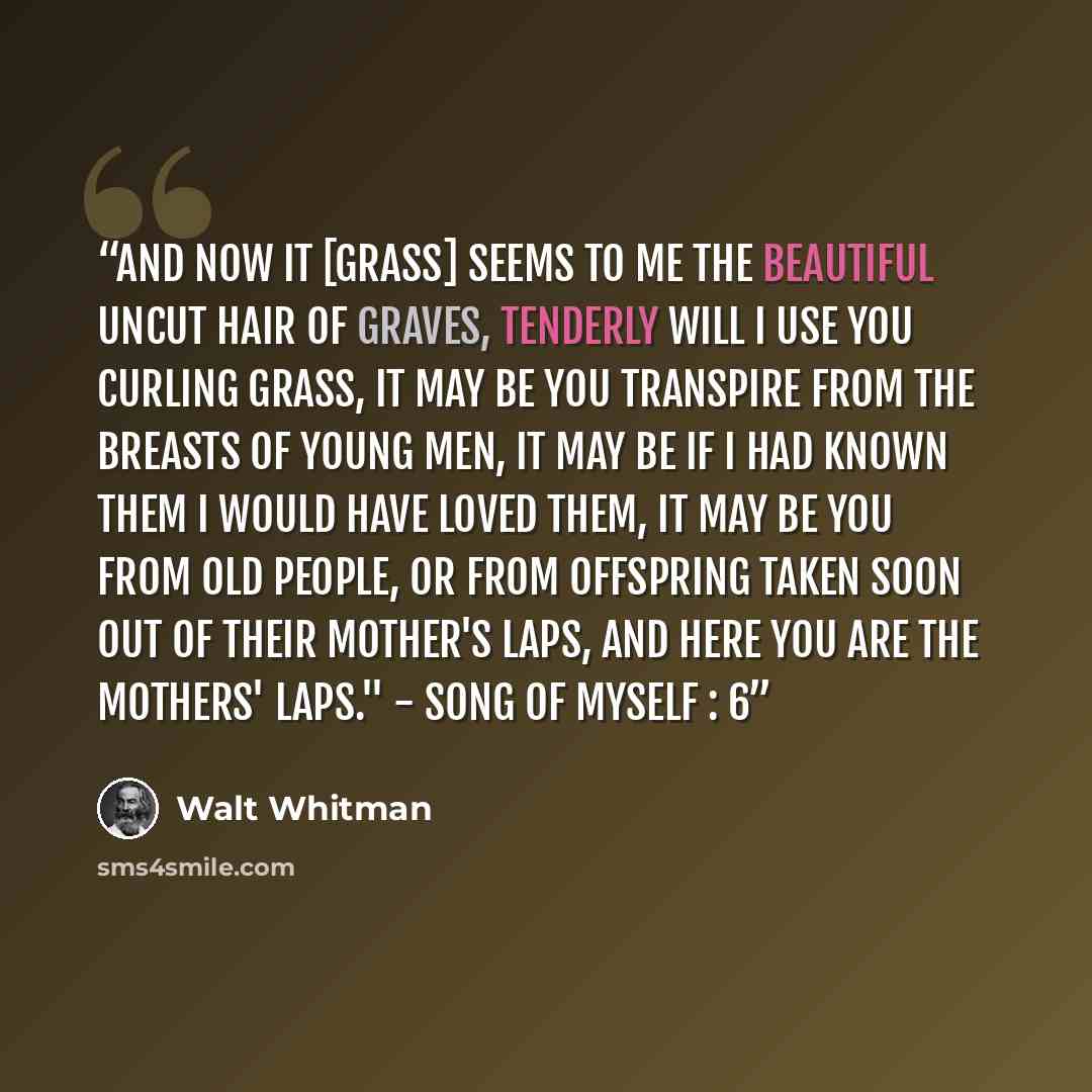 “And now it [grass] seems to me the beautiful uncut hair of graves, Tenderly will I use you curling grass, It may be you transpire from the breasts of young men, It may be if I had known them I would have loved them, It may be you from old people, or from offspring taken soon out of their mother's…” quote by Walt Whitman