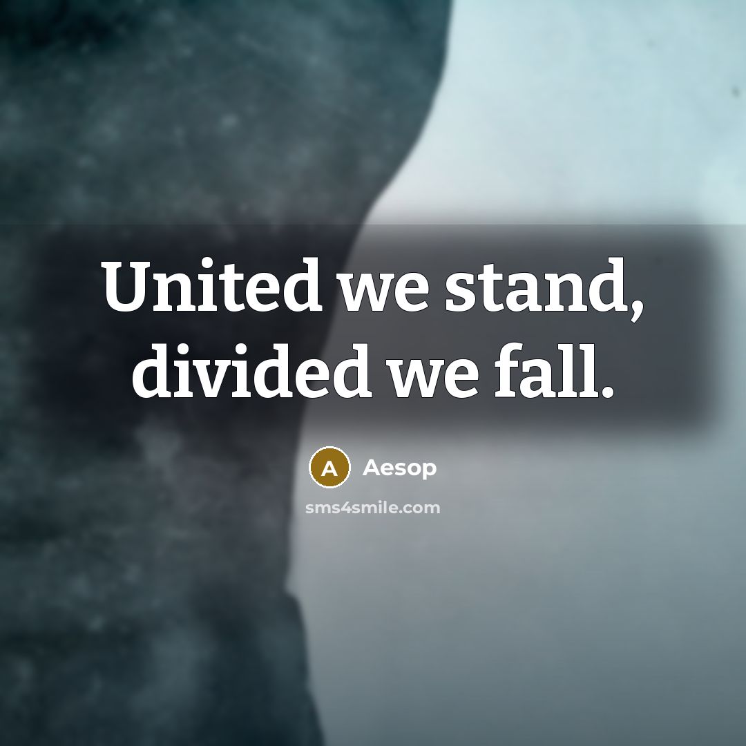 “United we stand, divided we fall.” quote by Aesop