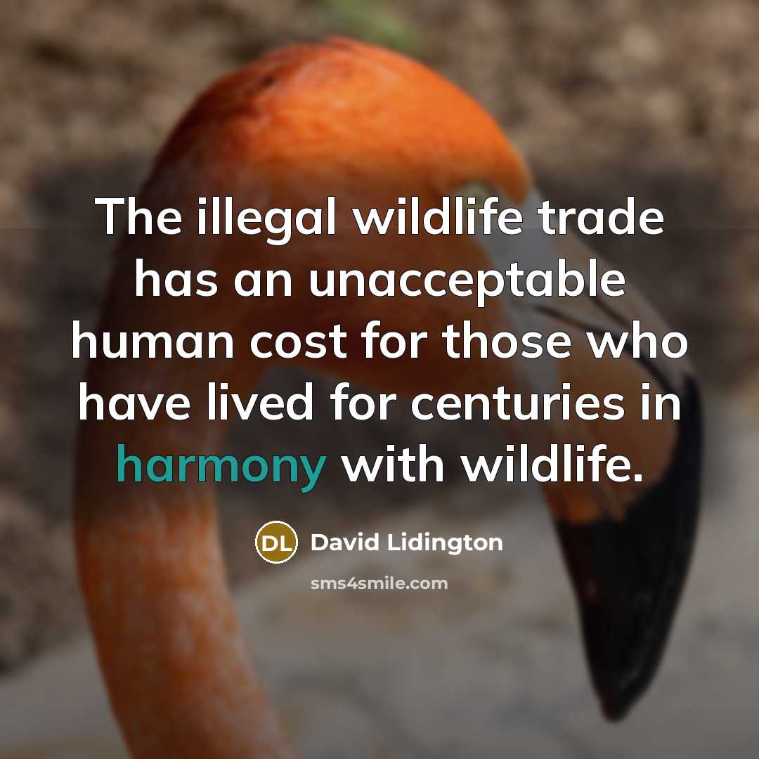 “The illegal wildlife trade has an unacceptable human cost for those who have lived for centuries in harmony with wildlife.” quote by David Lidington