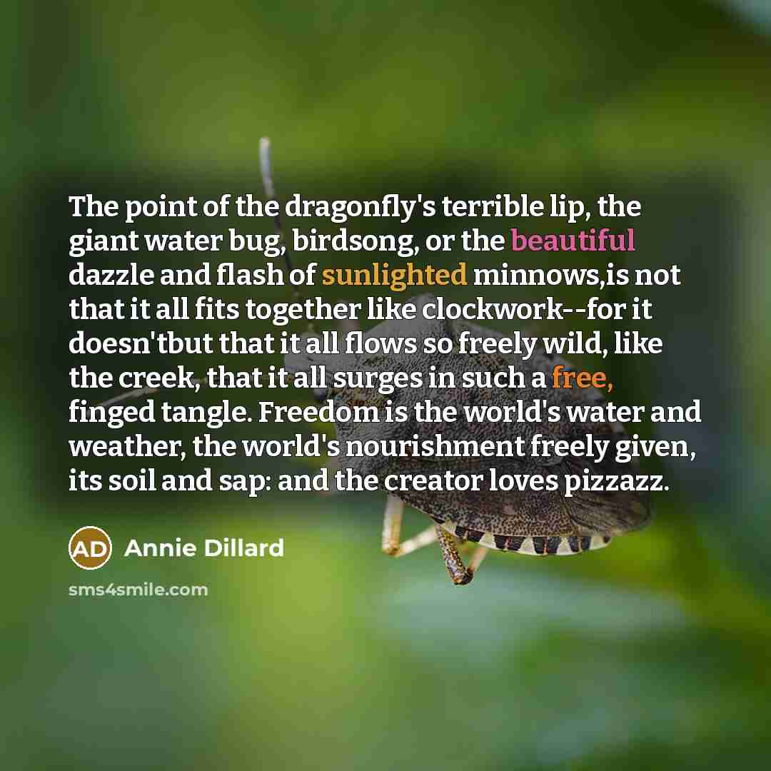 “The point of the dragonfly's terrible lip, the giant water bug, birdsong, or the beautiful dazzle and flash of sunlighted minnows,is not that it all fits together like clockwork--for it doesn'tbut that it all flows so freely wild, like the creek, that it all surges in such a free, finged tangle…” quote by Annie Dillard