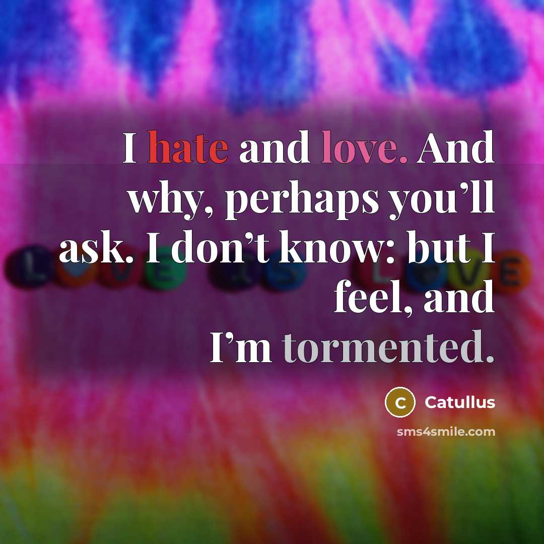 “I hate and love. And why, perhaps you’ll ask. I don’t know: but I feel, and I’m tormented.” quote by Catullus