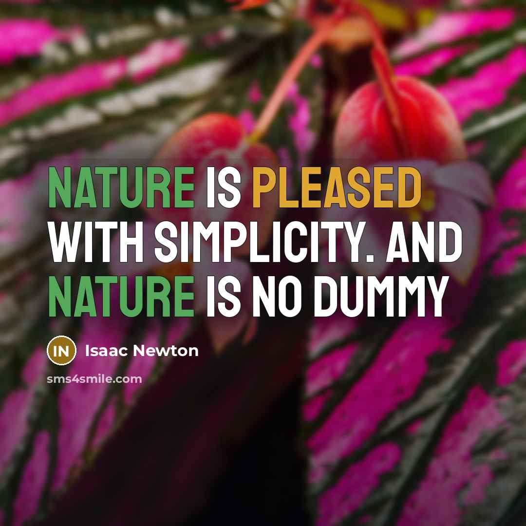 “Nature is pleased with simplicity. And nature is no dummy” quote by Isaac Newton