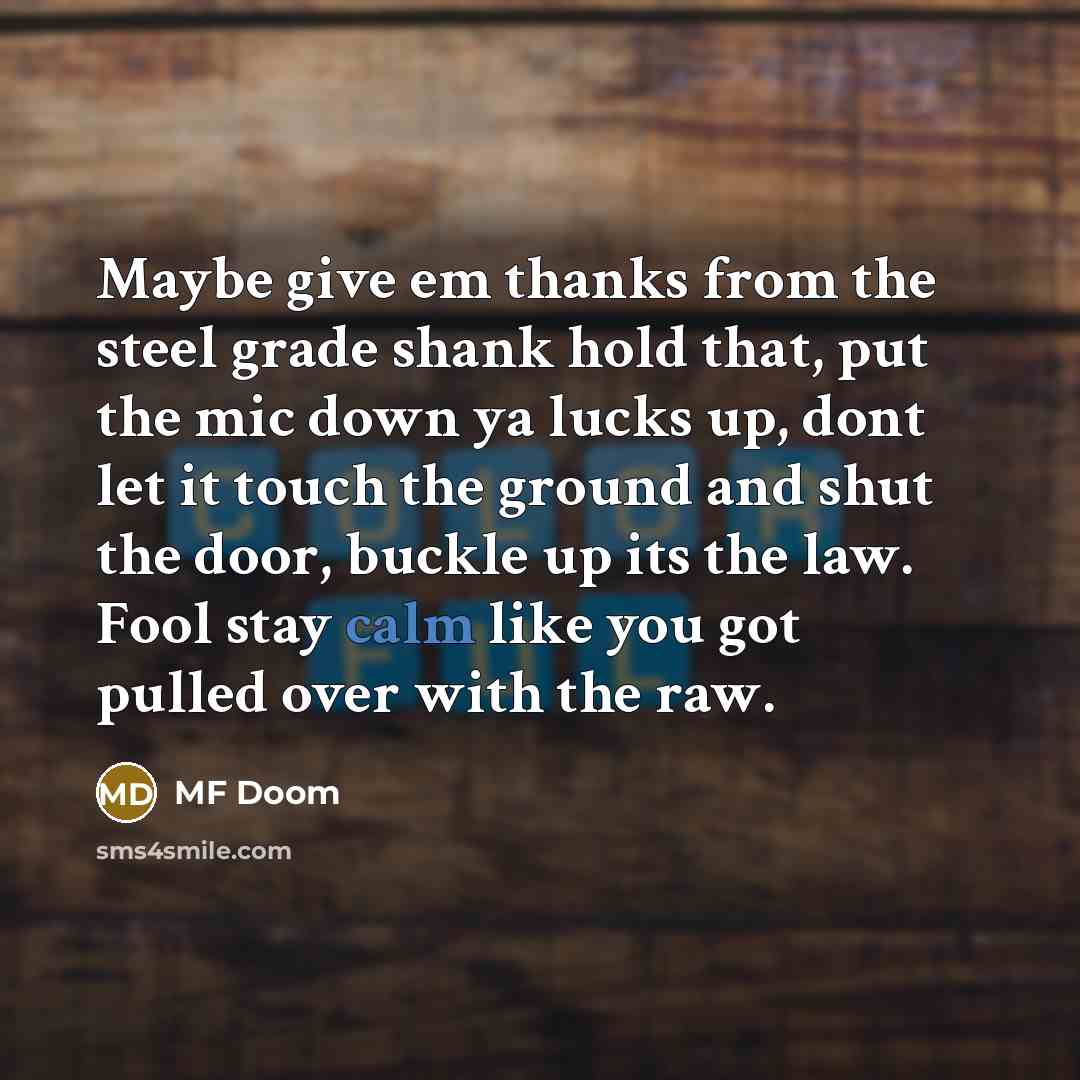 “Maybe give em thanks from the steel grade shank hold that, put the mic down ya lucks up, dont let it touch the ground and shut the door, buckle up its the law. Fool stay calm like you got pulled over with the raw.” quote by MF Doom