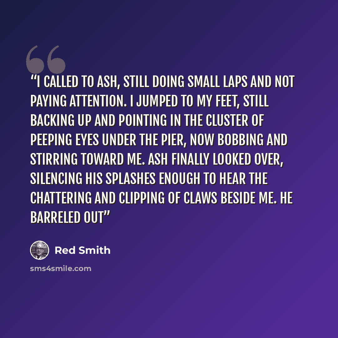 “I called to Ash, still doing small laps and not paying attention. I jumped to my feet, still backing up and pointing in the cluster of peeping eyes under the pier, now bobbing and stirring toward me. Ash finally looked over, silencing his splashes enough to hear the chattering and clipping of…” quote by Red Smith