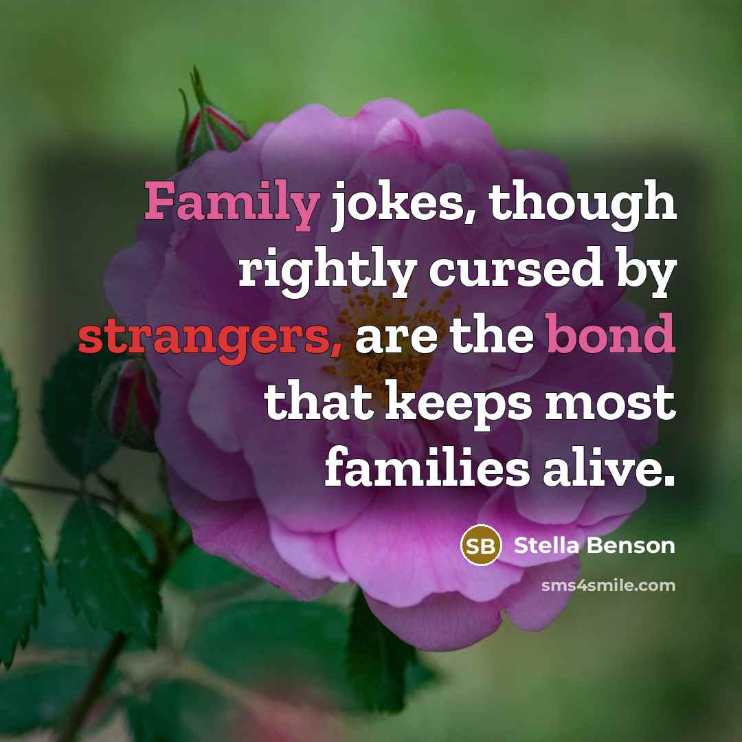 “Family jokes, though rightly cursed by strangers, are the bond that keeps most families alive.” quote by Stella Benson