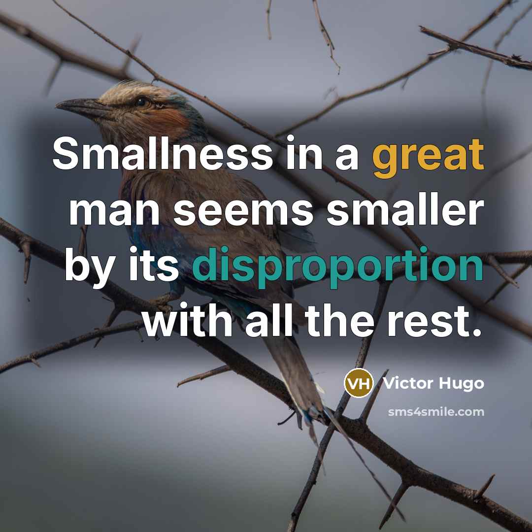 “Smallness in a great man seems smaller by its disproportion with all the rest.” quote by Victor Hugo