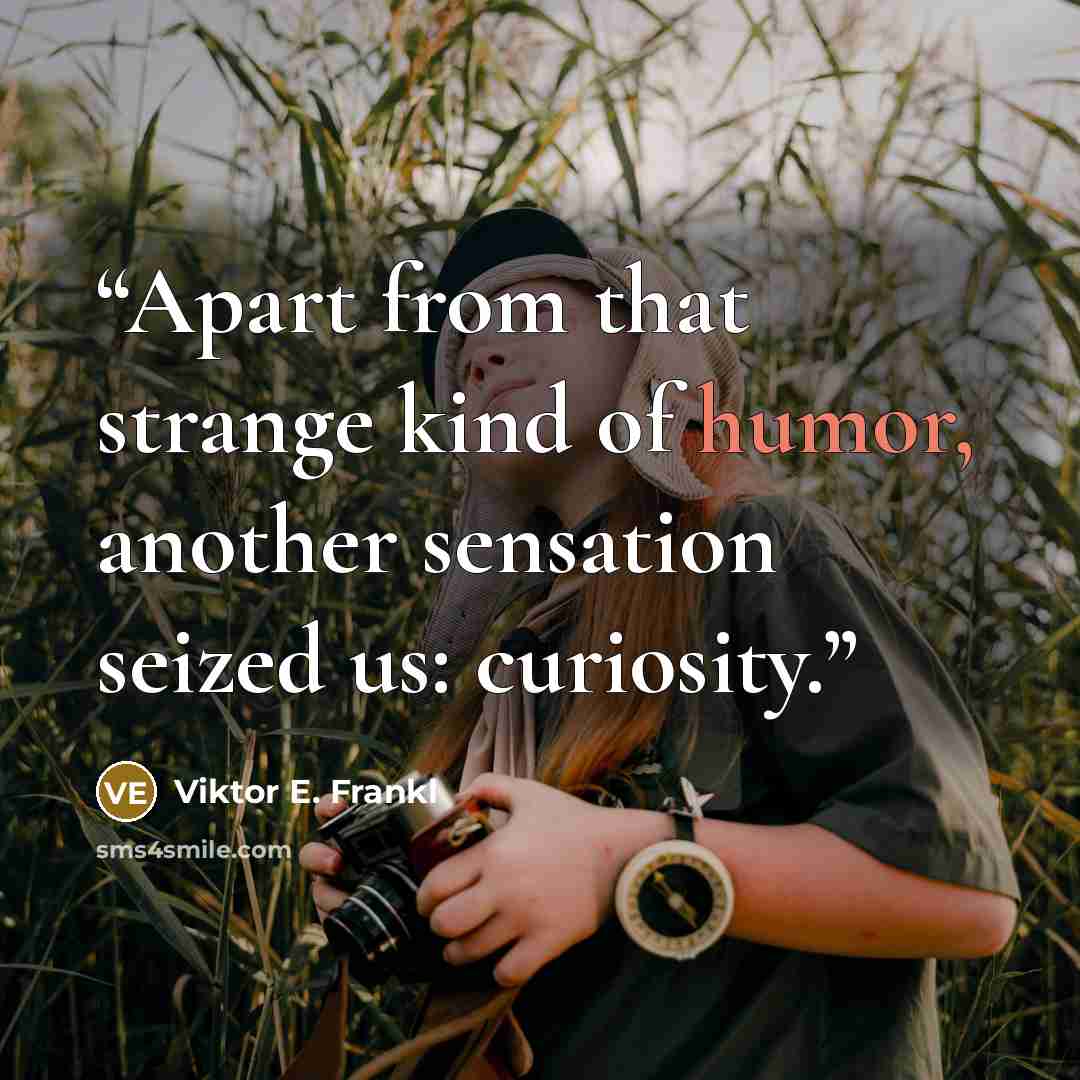 “Apart from that strange kind of humor, another sensation seized us: curiosity.” quote by Viktor E. Frankl