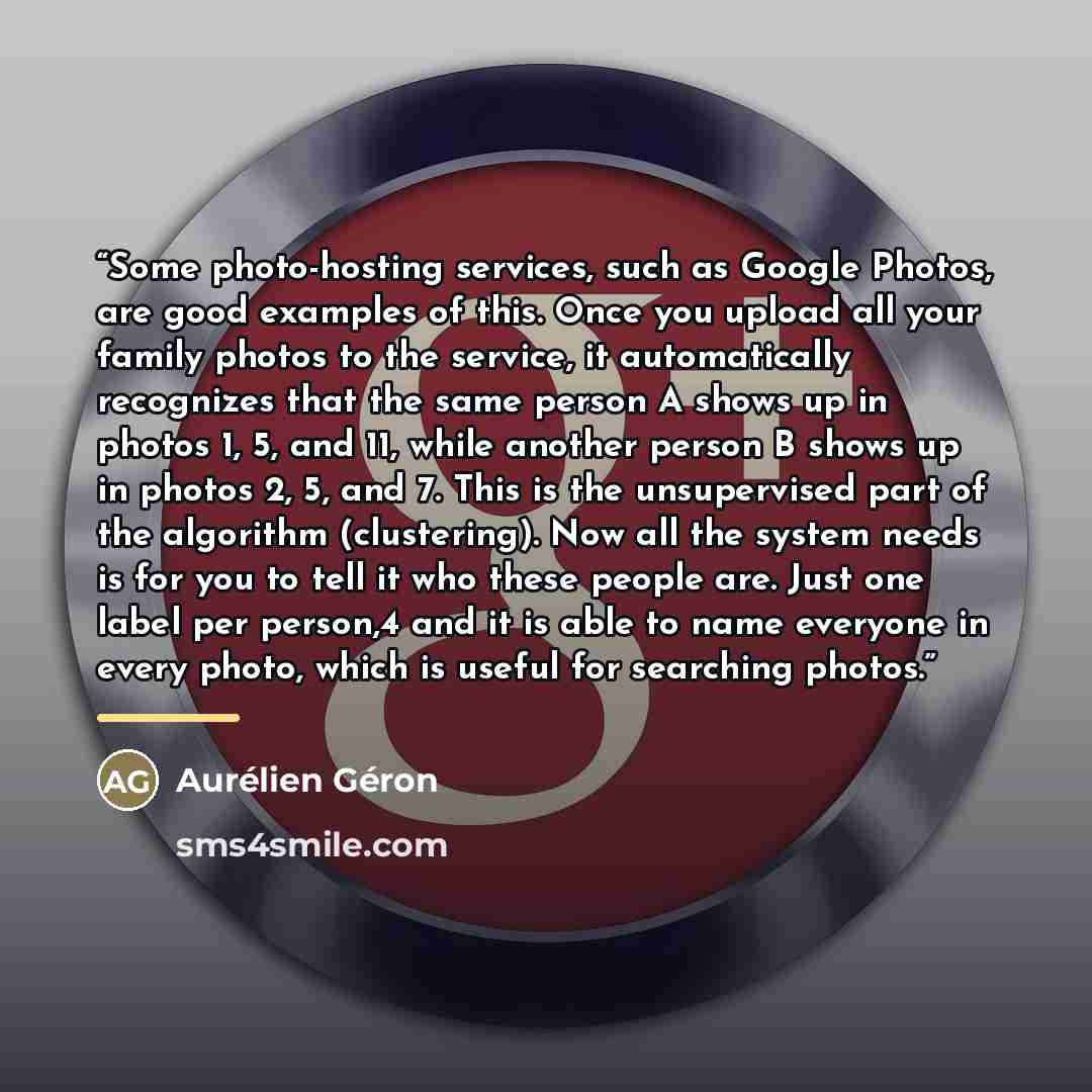 “Some photo-hosting services, such as Google Photos, are good examples of this. Once you upload all your family photos to the service, it automatically recognizes that the same person A shows up in photos 1, 5, and 11, while another person B shows up in photos 2, 5, and 7. This is the unsupervised…” quote by Aurélien Géron